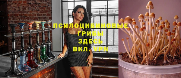 хмурый Ессентукская