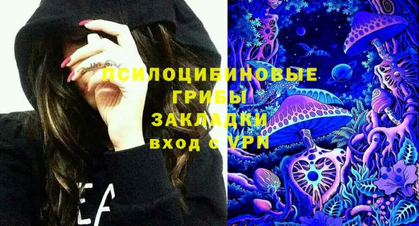 хмурый Ессентукская