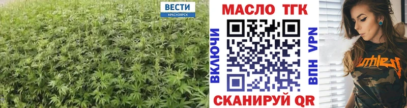 Купить закладки  Пугачёв  Дистиллят ТГК концентрат 