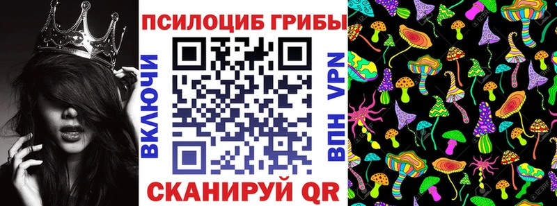 Галлюциногенные грибы прущие грибы  Купить  Пугачёв 